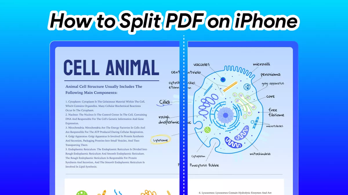 How to Split PDF on iPhone? (Step by Step)