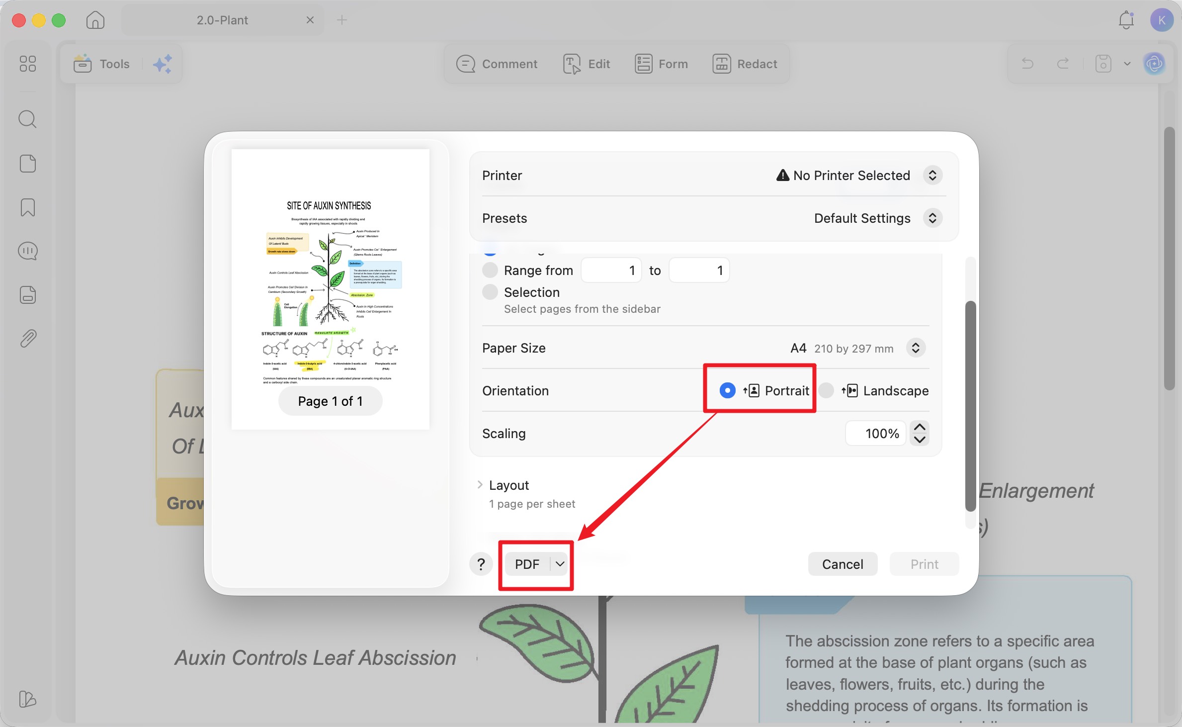 mac portrait option interface updf