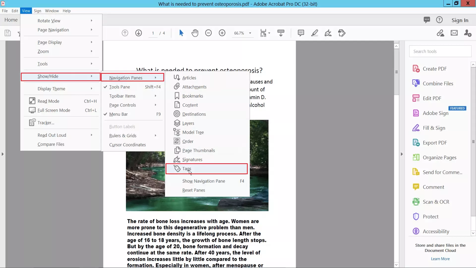 navigate to tags in adobe acrobat