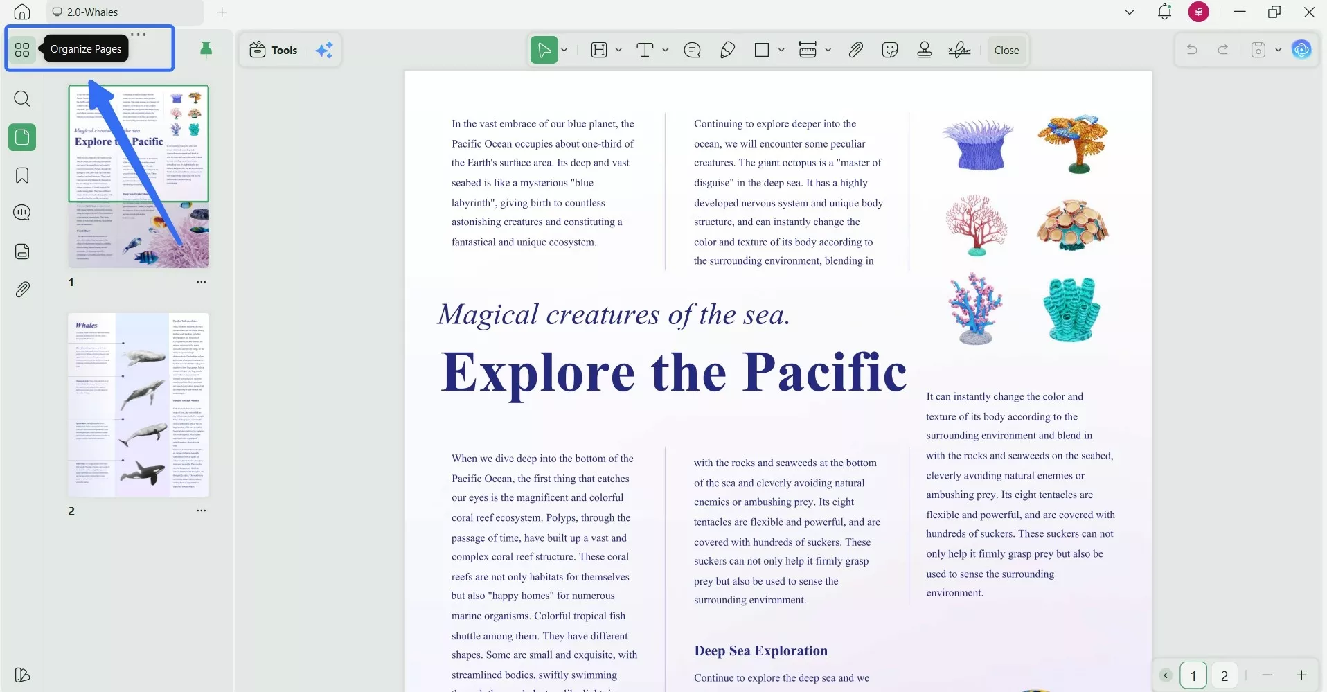 click organize pages in updf