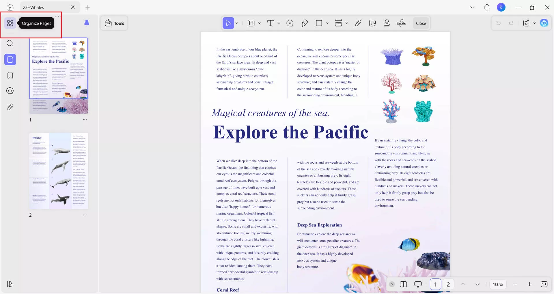 organize pages in updf