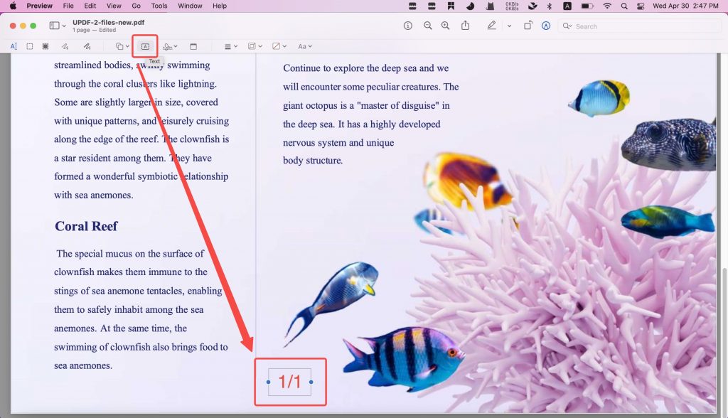 preview edit pdf page number