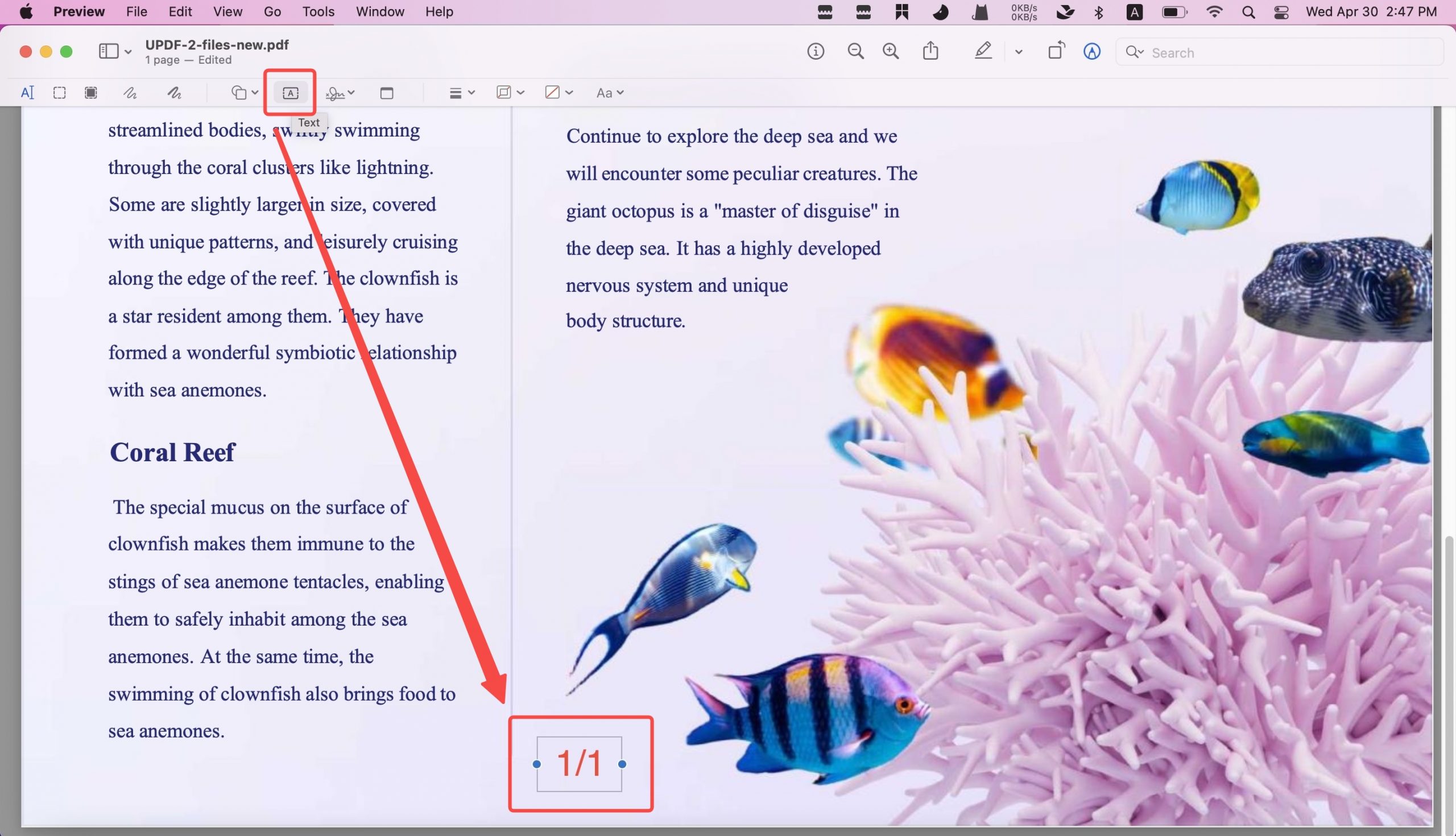 preview edit pdf page number