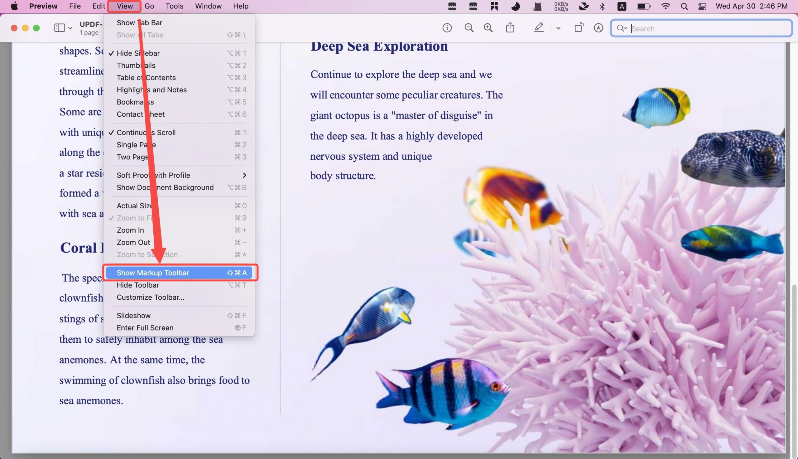 preview show markup toolbar