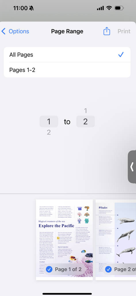 Select page range to print in UPDF for ios