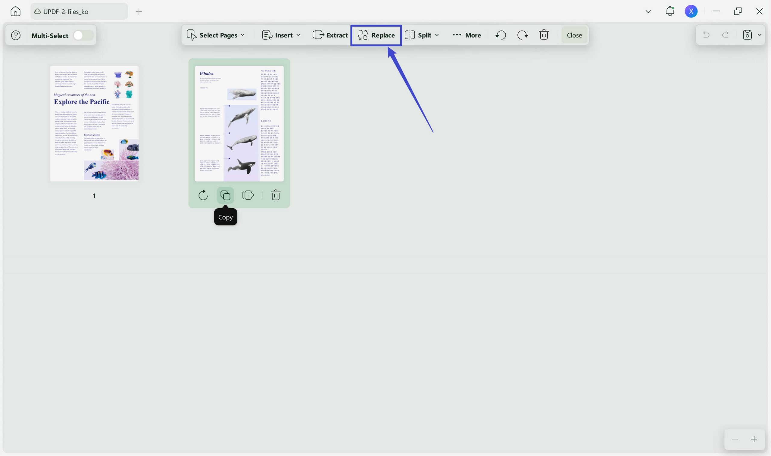 select the page and click replace with updf