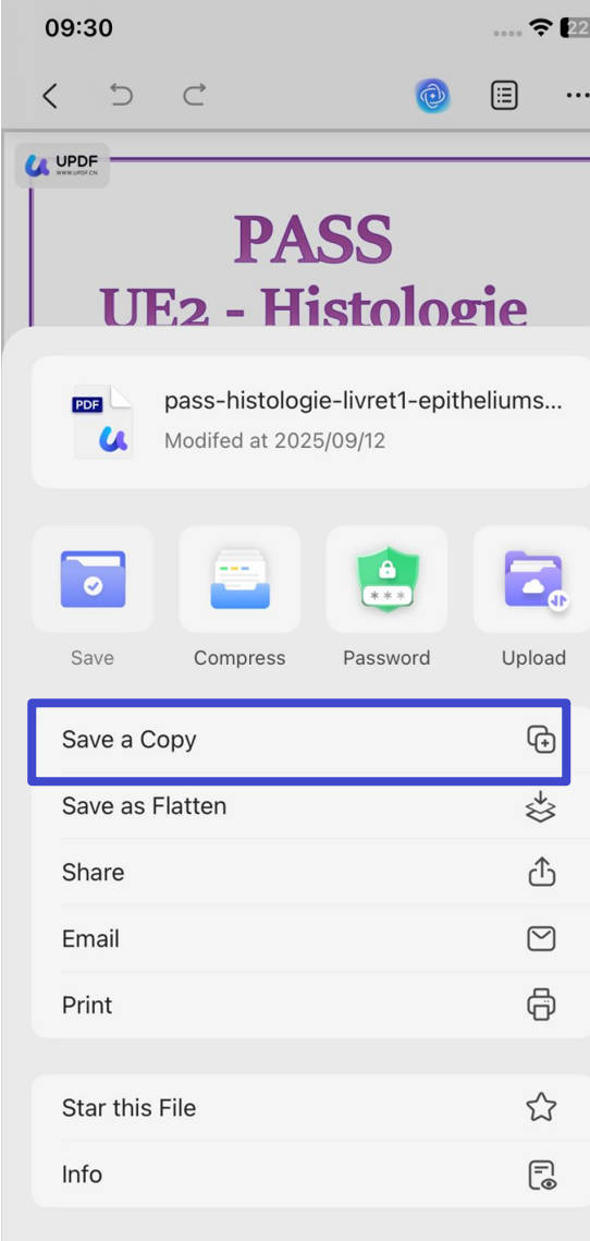 save the pdf with updf for ios