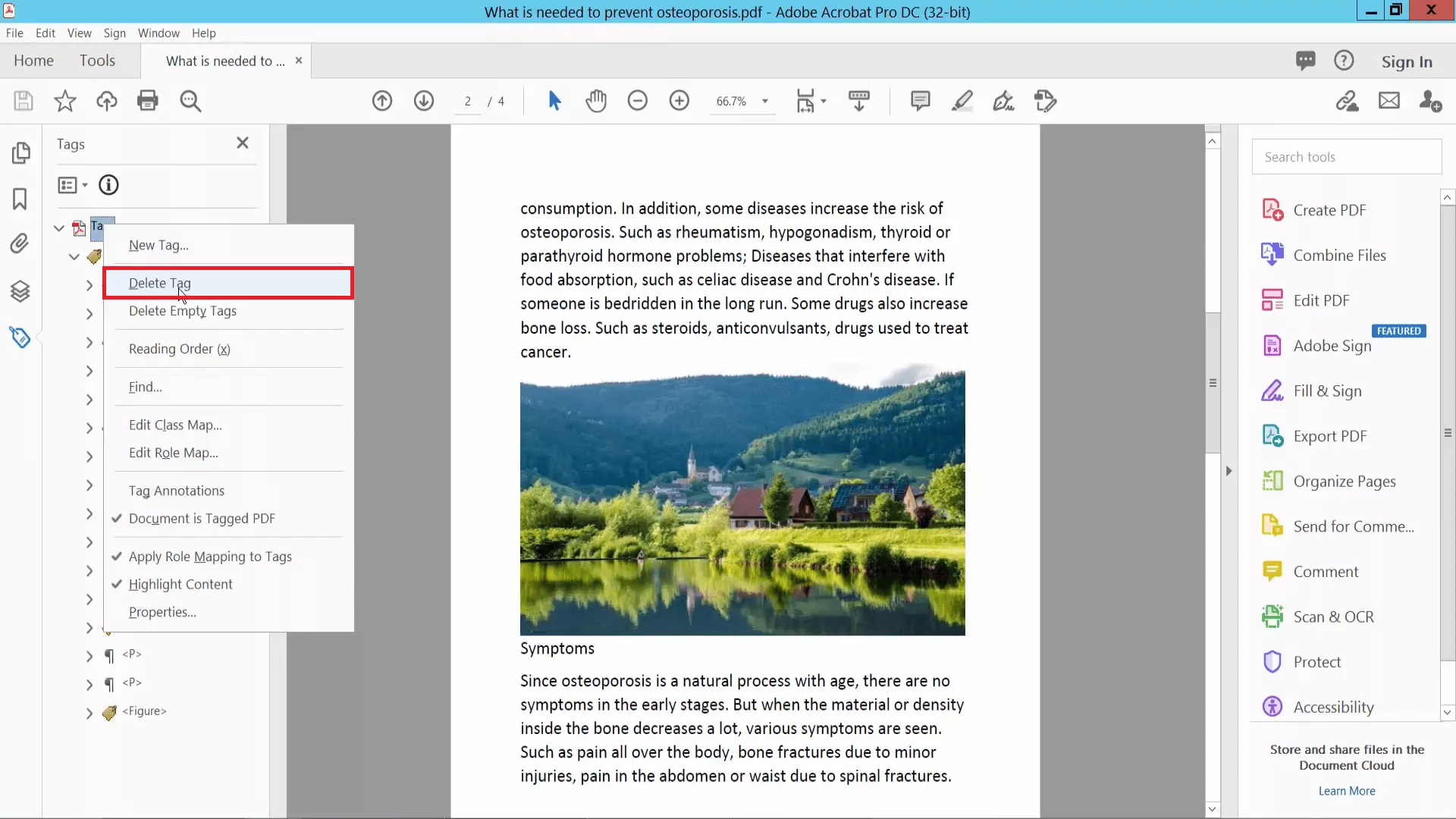 select delete tag in adobe acrobat