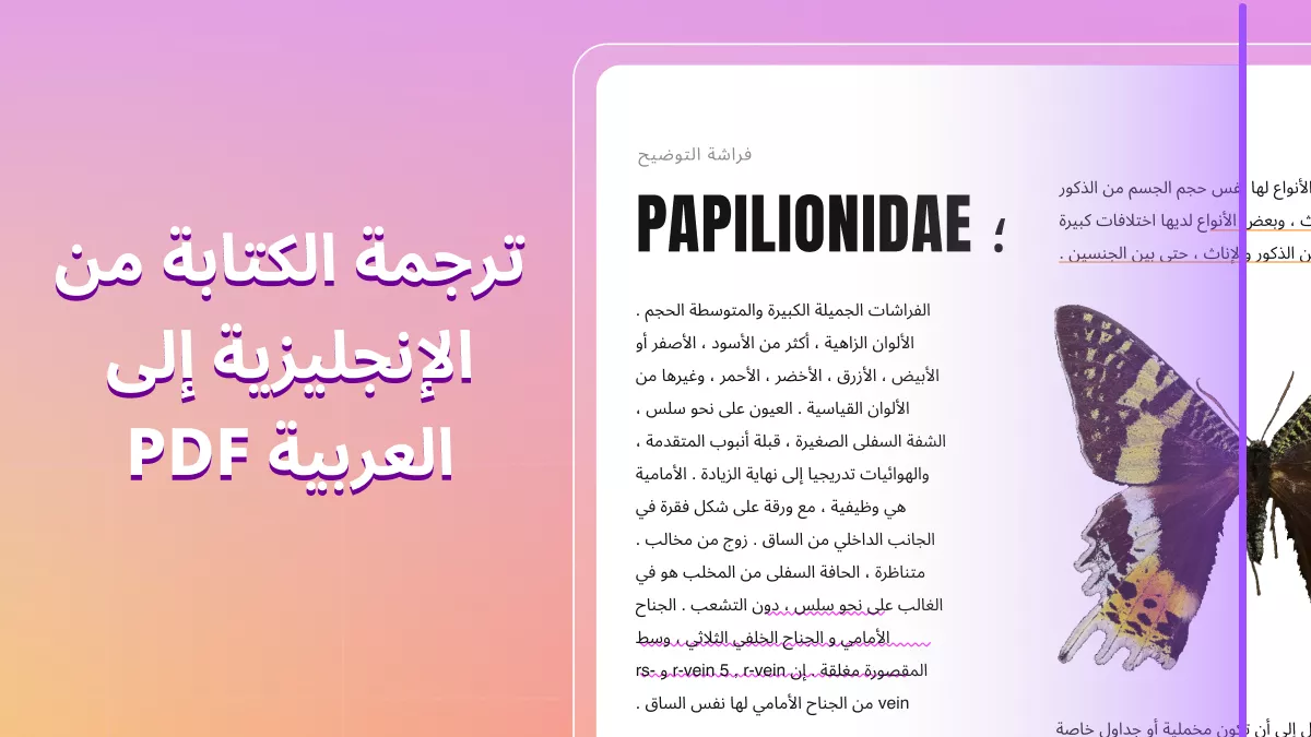 كيف تترجم مستندات PDF من الإنجليزية إلى العربية [دليل 2024]