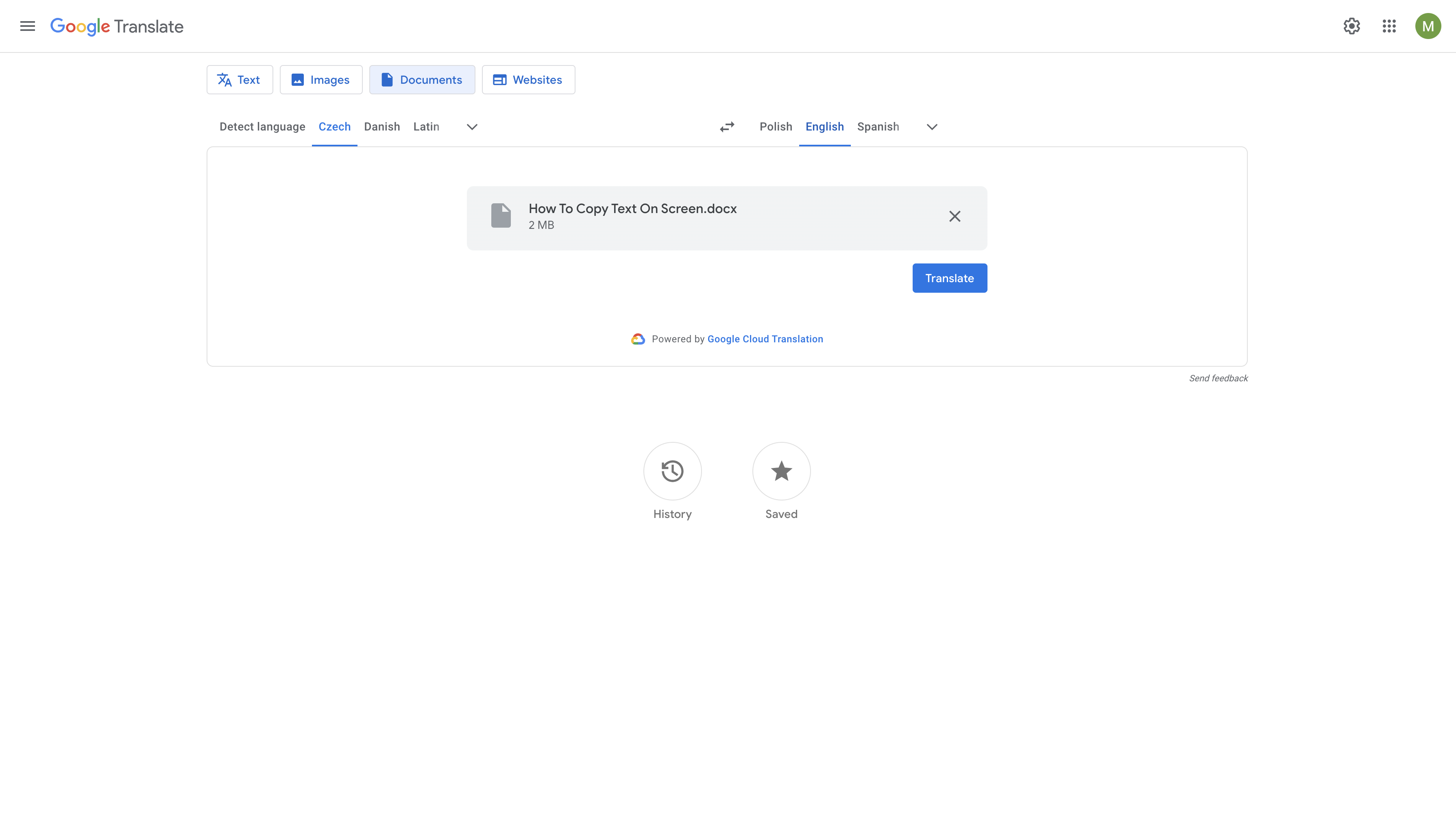 translate the czech pdf to English with google translate