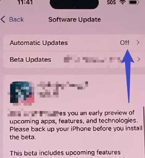 Turn off beta update with iphone