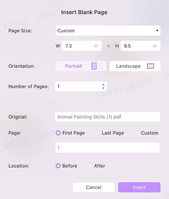 Customize to insert blank page with updf mac