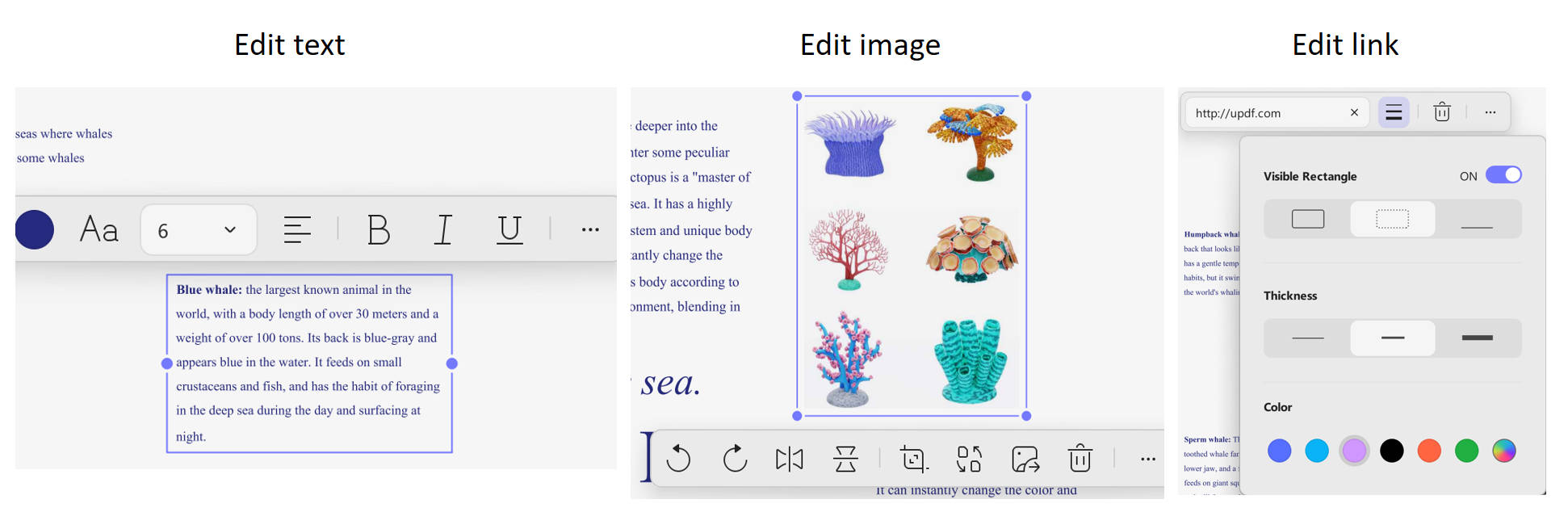 adjust settings like fonts, colors, sizes, and styles.