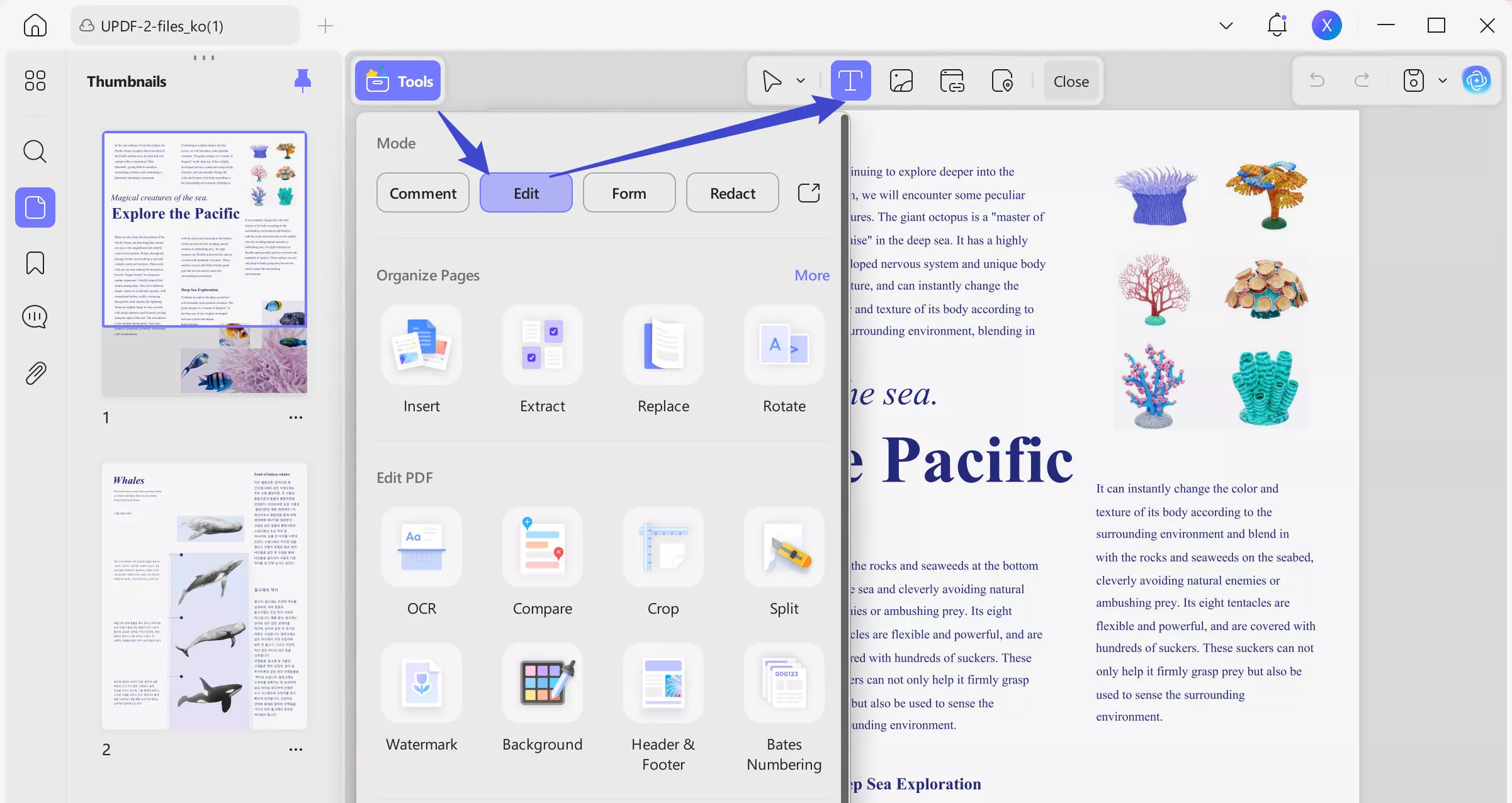edit text updf windows