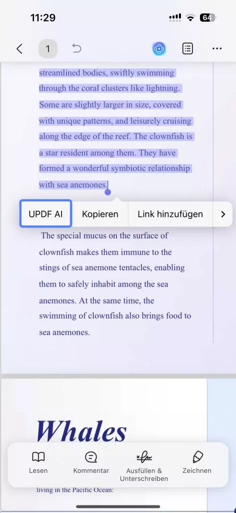 Erklärung generieren und kopieren