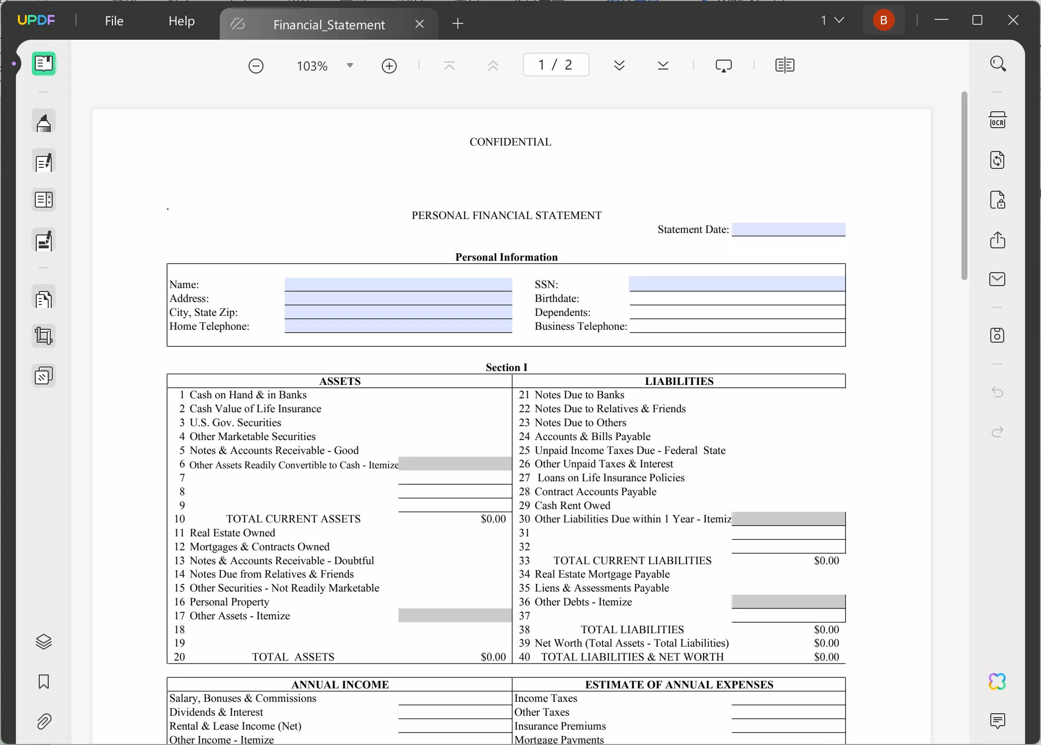 financial statement form updf