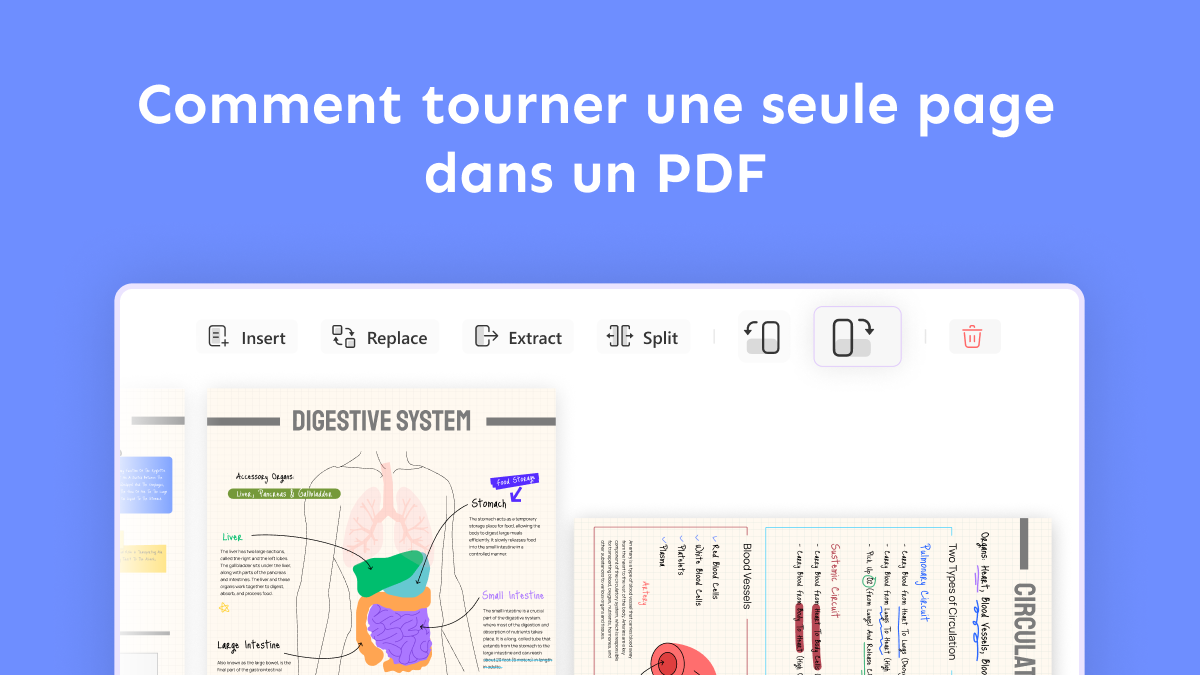 Comment tourner une seule page dans un PDF ? UPDF
