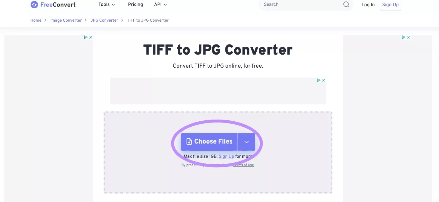 Trasformare TIFF in JPG con FreeConvert