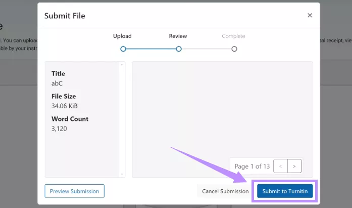click submit to turnitin
