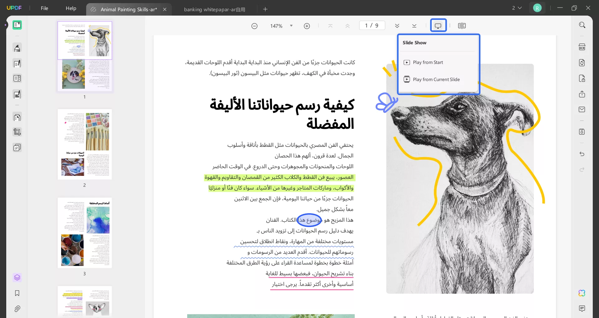 عرض شرائح PDF