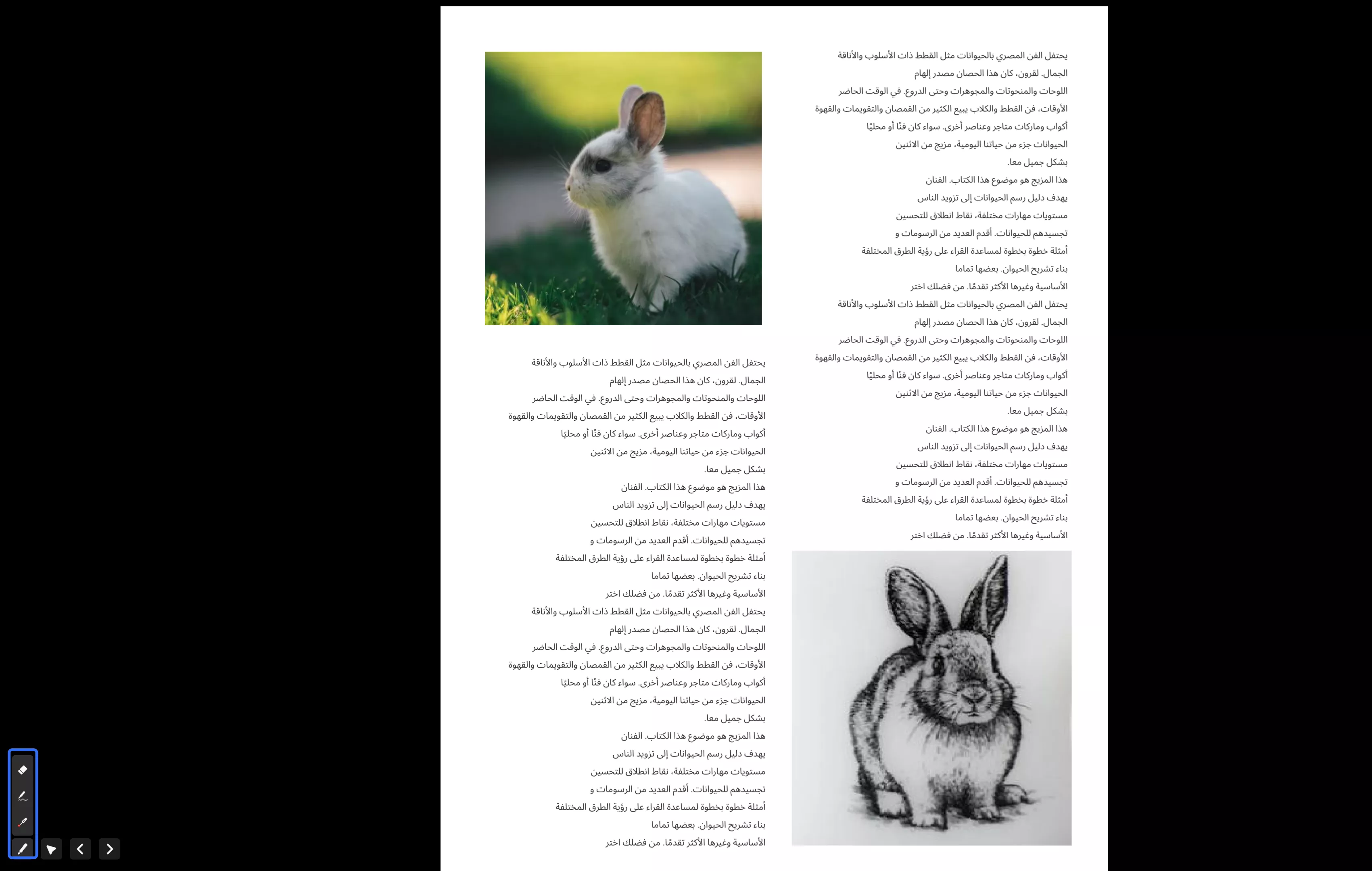  داخل ملف PDF أثناء العرض