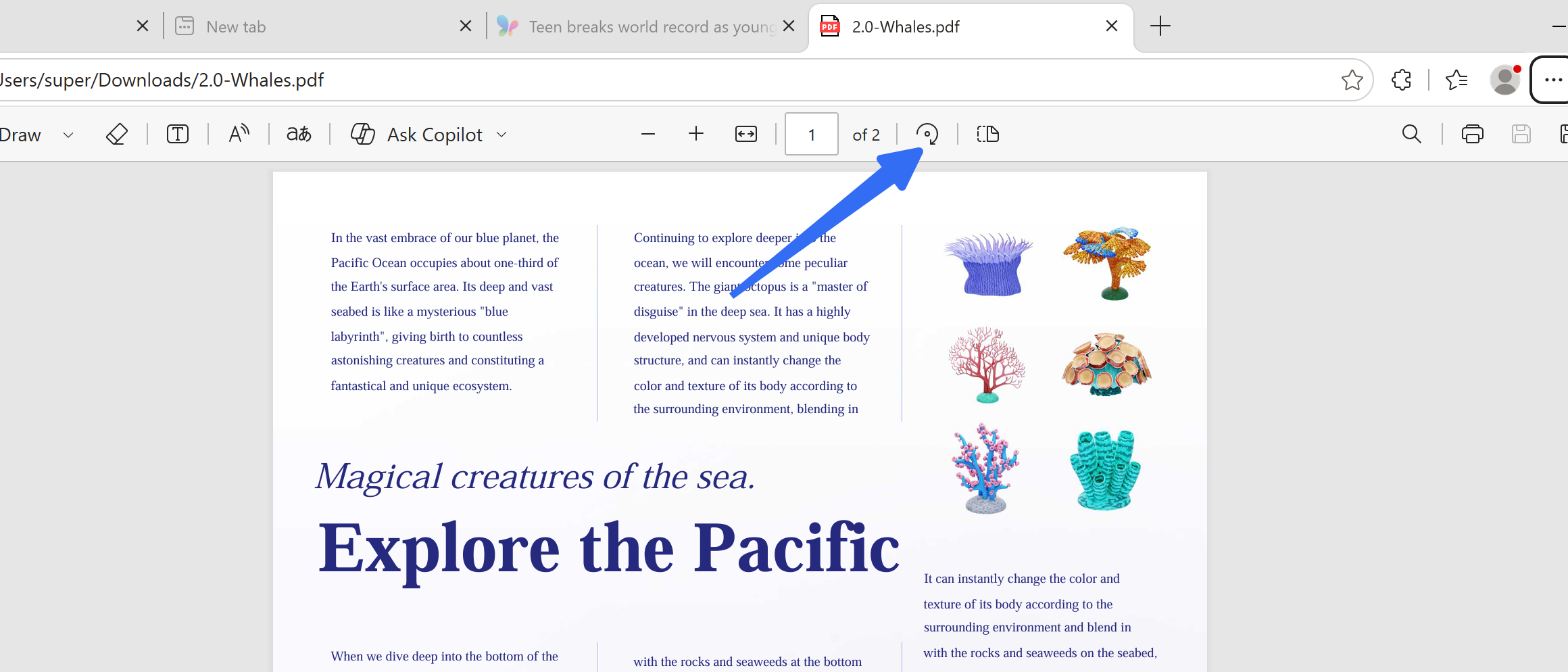 rotate pdf pages in windows edge