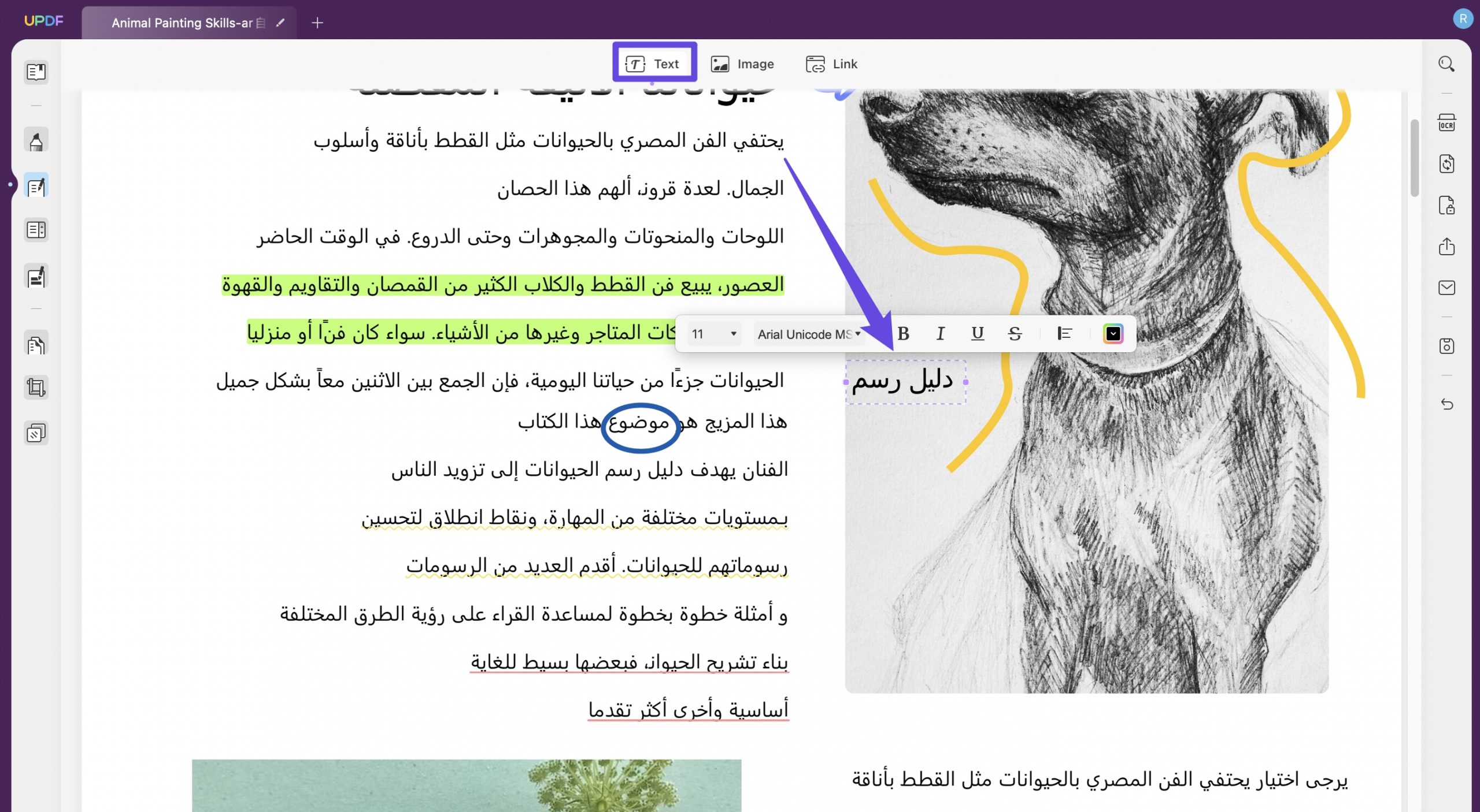 الصفحات الفارغة