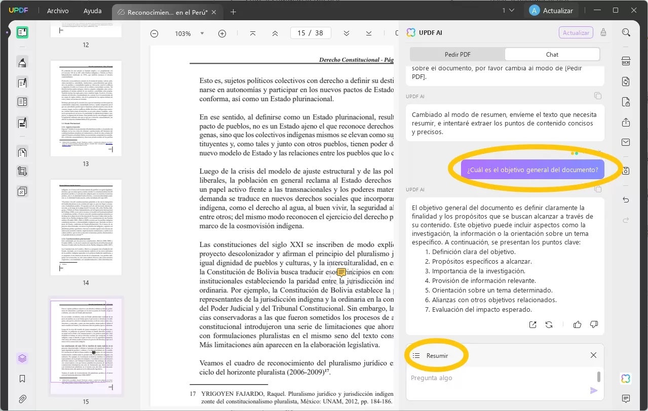 instrucciones para resumir pdf