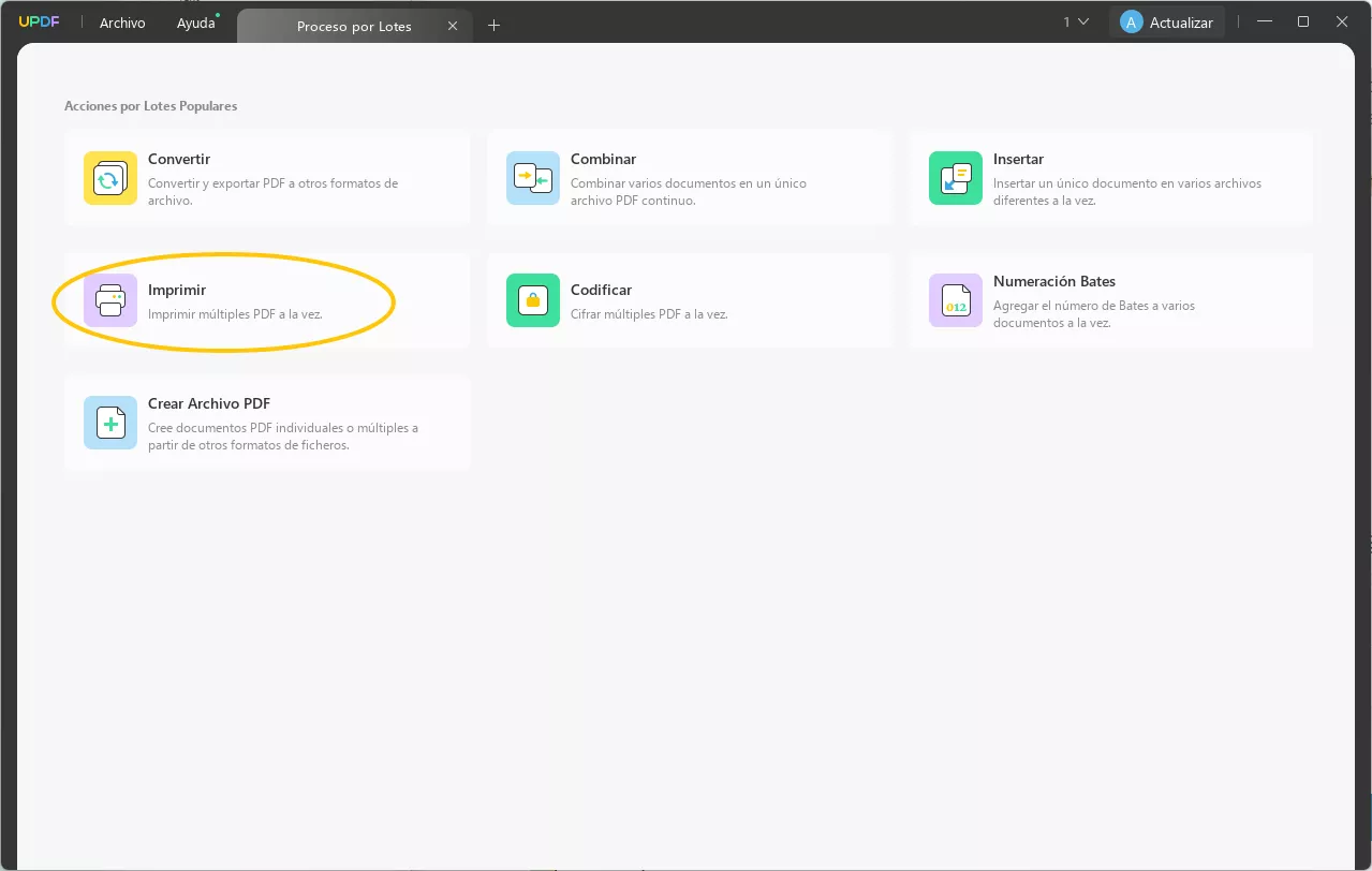 lote imprimir updf