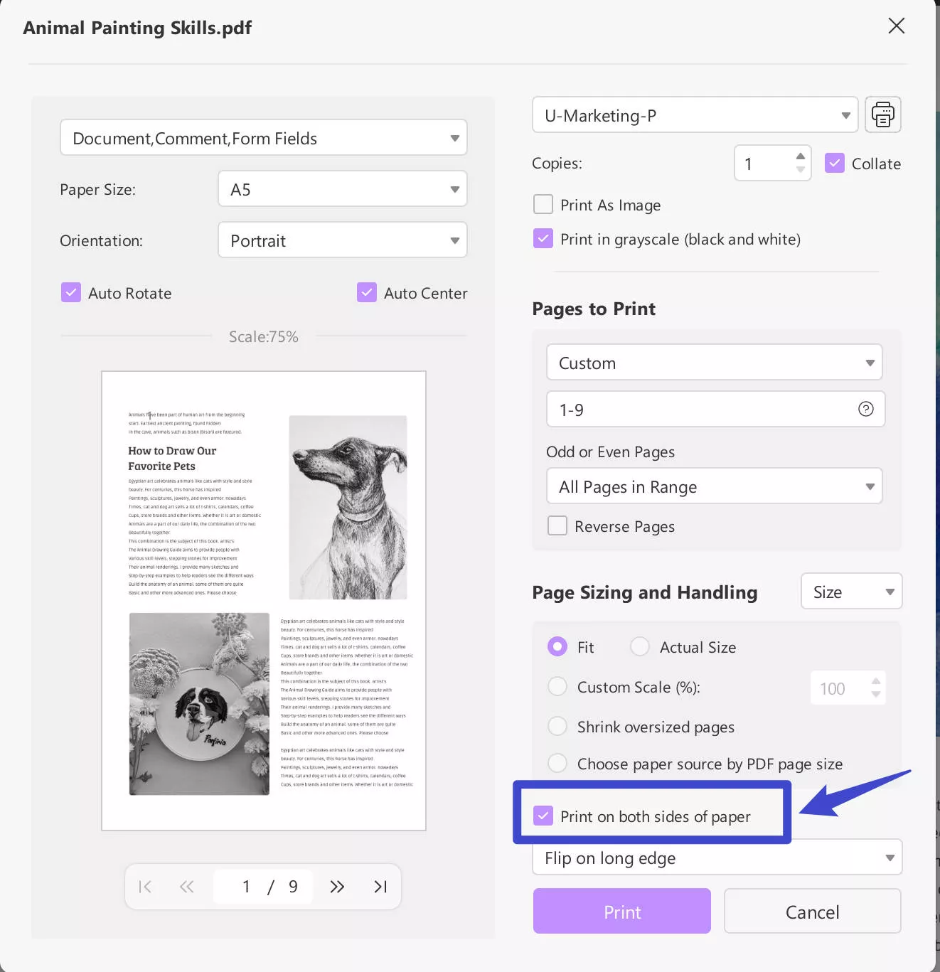 click print on both sides of paper option