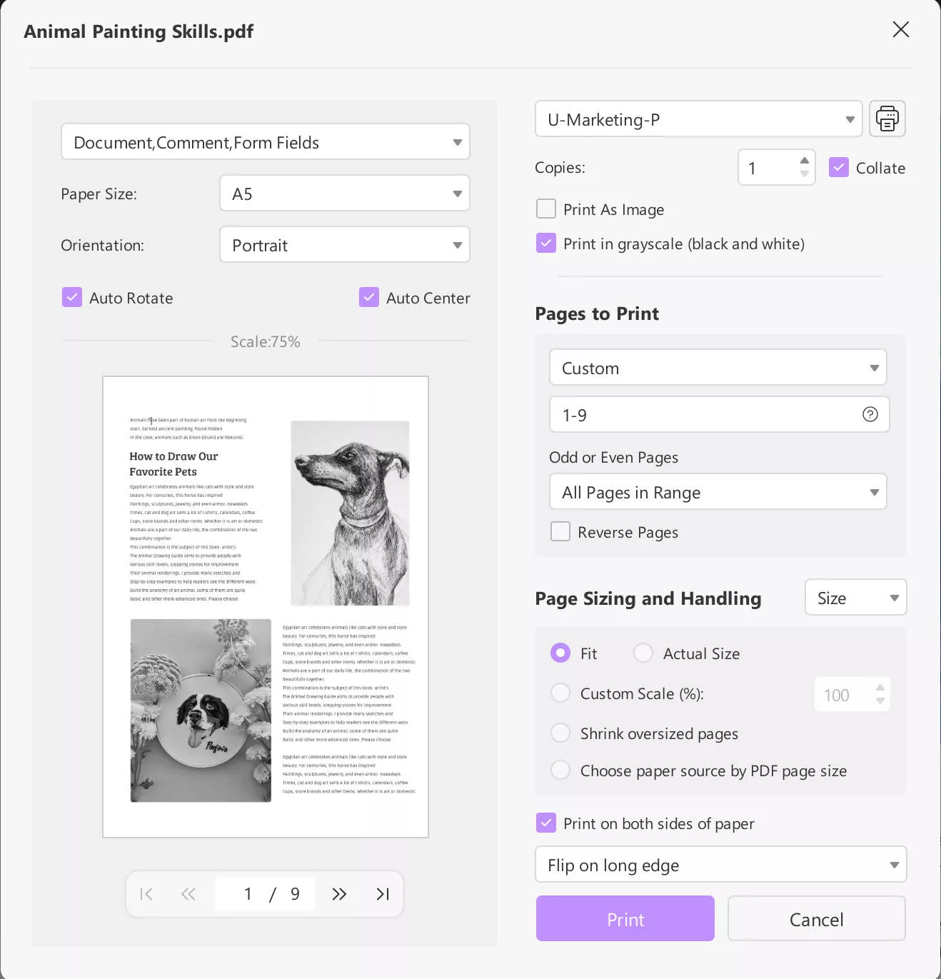 print settings of UPDF