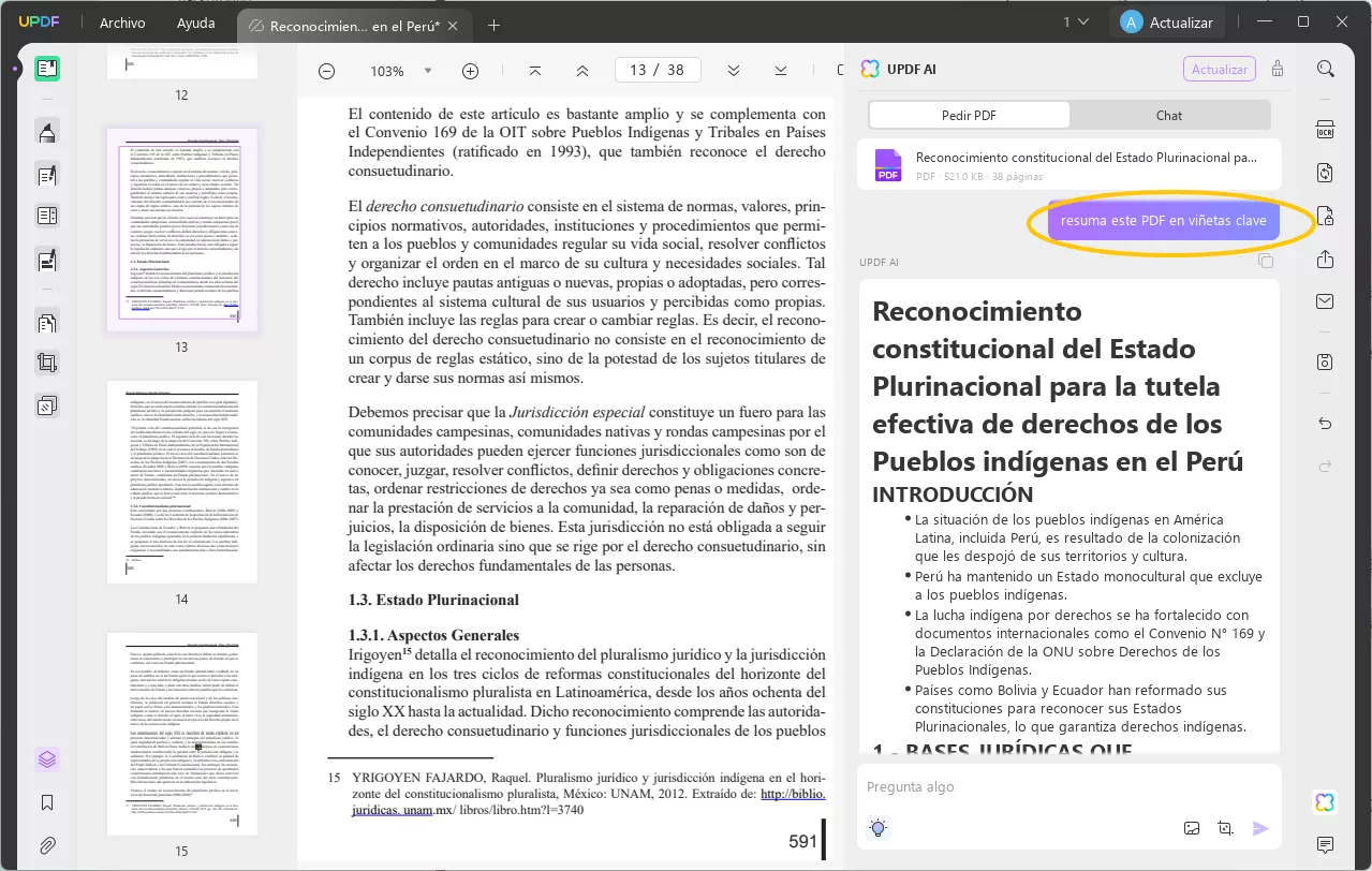 resumir pdf updf