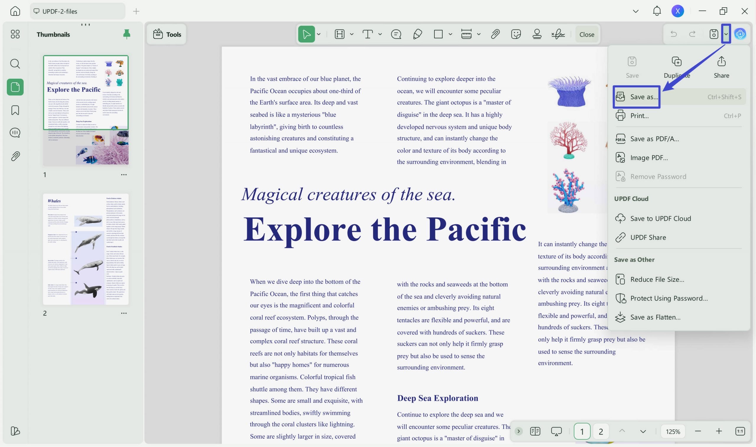  save pdf after adding border