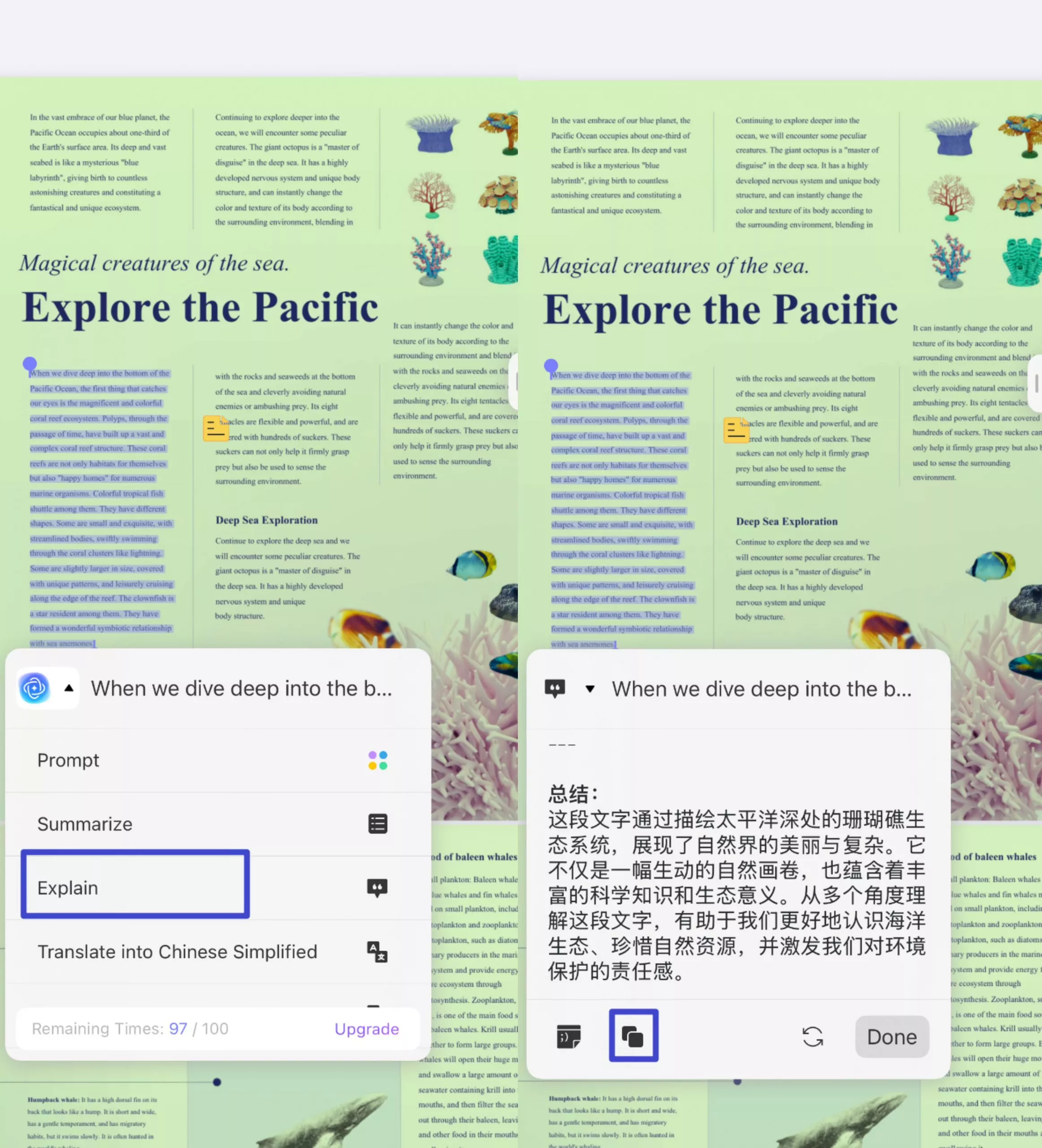 generate explanation and copy