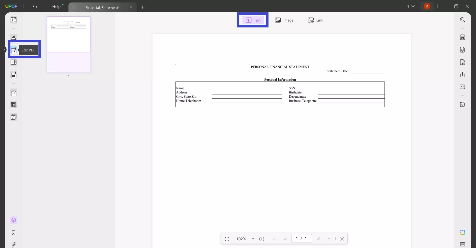 financial statement form add text