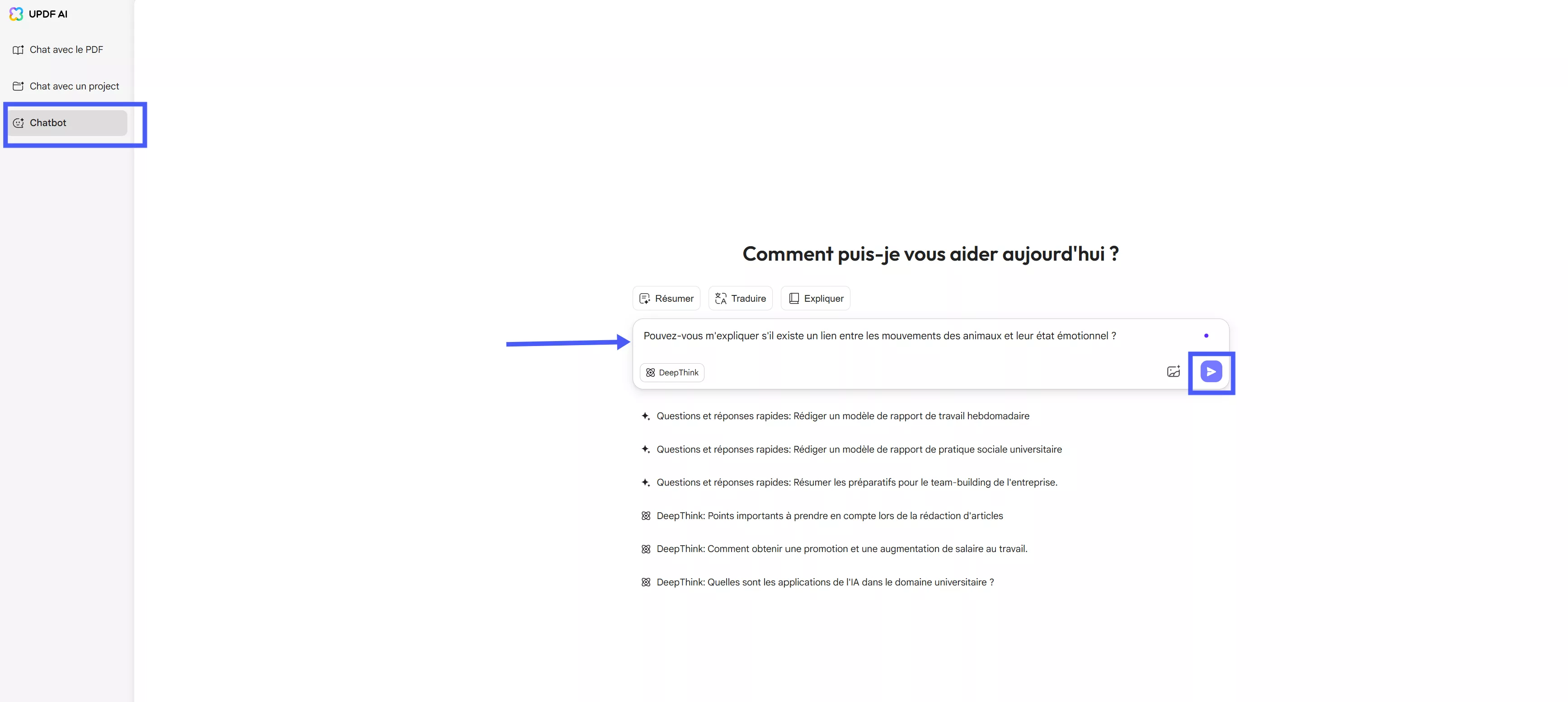 type prompt in chat bot