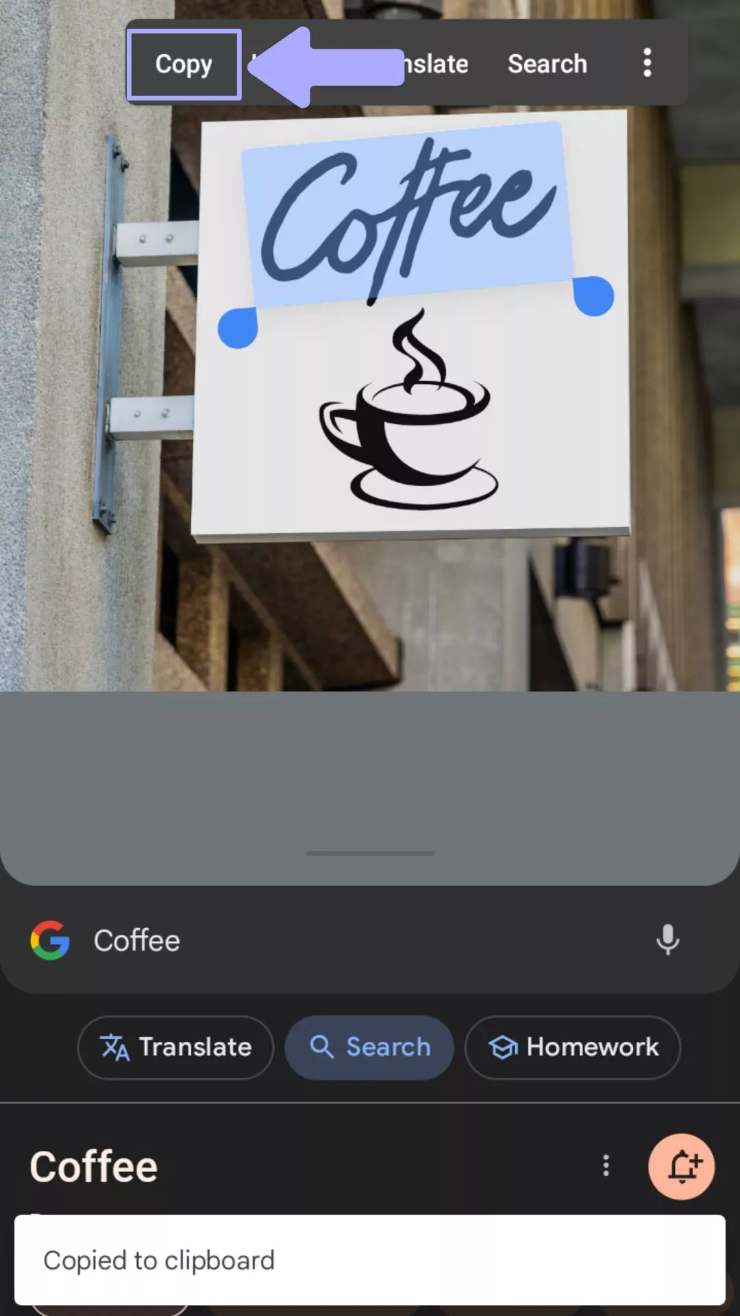 copy text from image with google lens