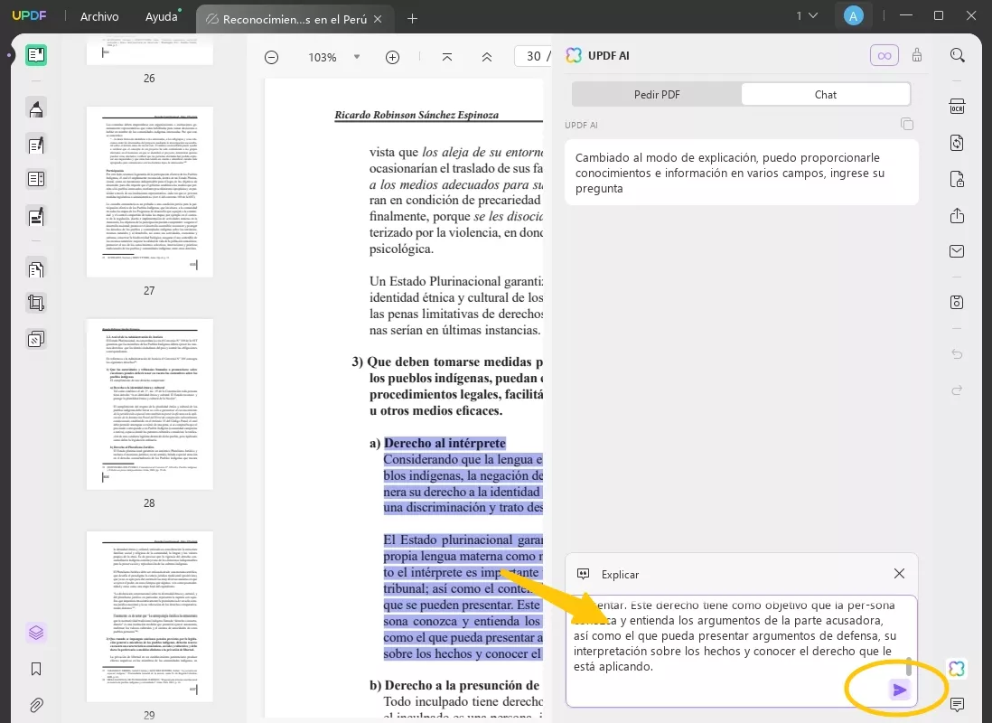 explicar pdf enter