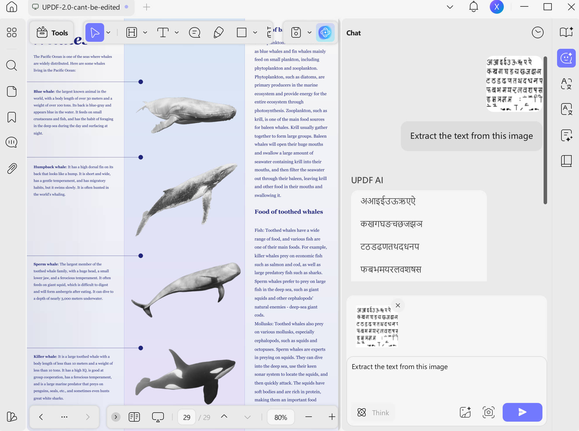 extract image updf on windows