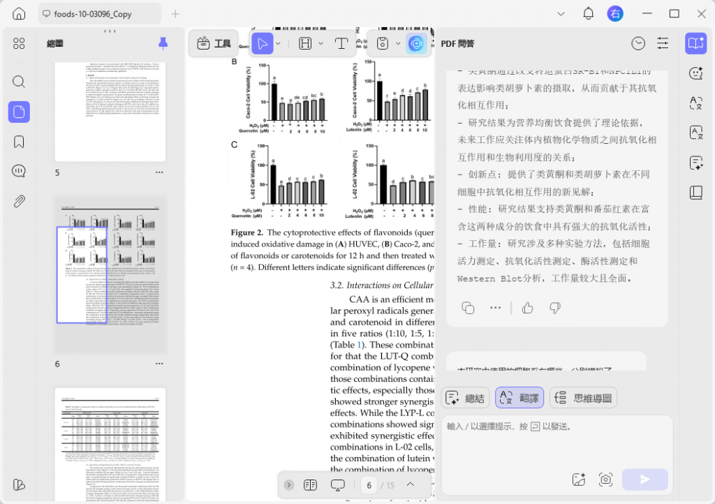 AI翻譯PDF文檔
