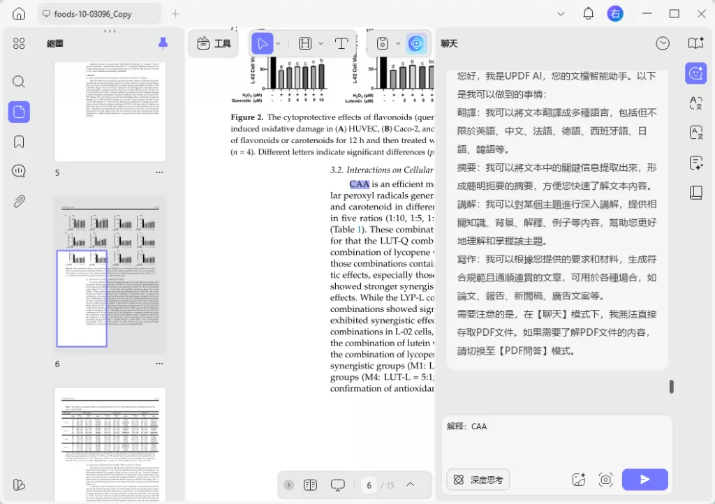 ai解釋功能