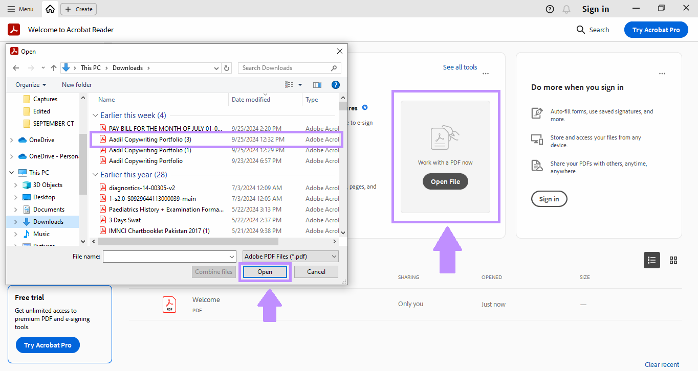 Open your pdf in the Adobe Acrobat