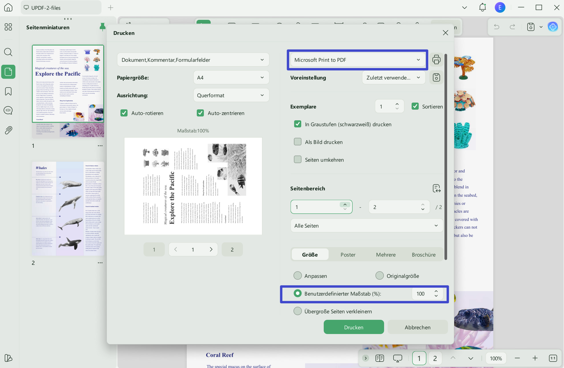 pdf drucken