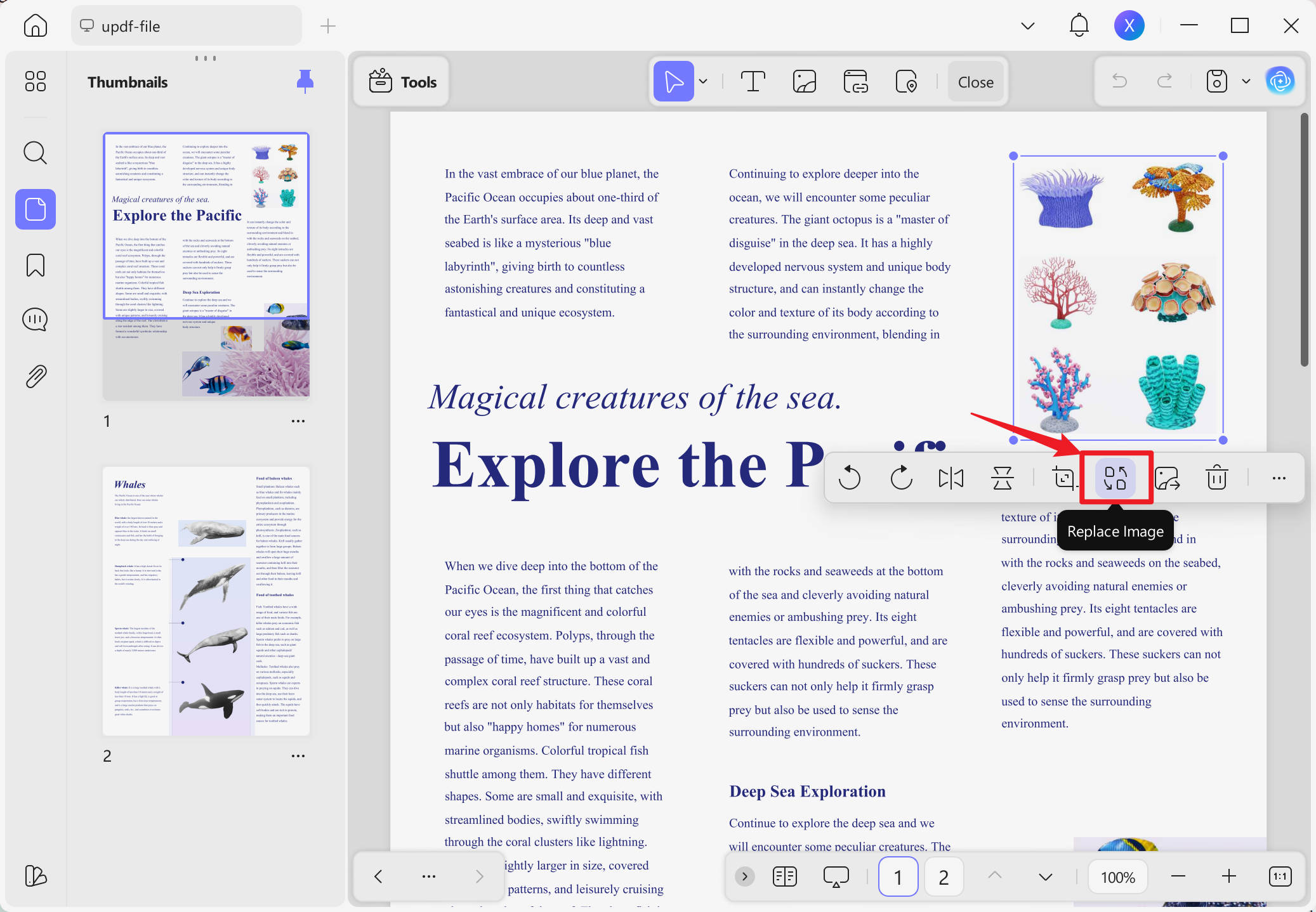replace image in pdf