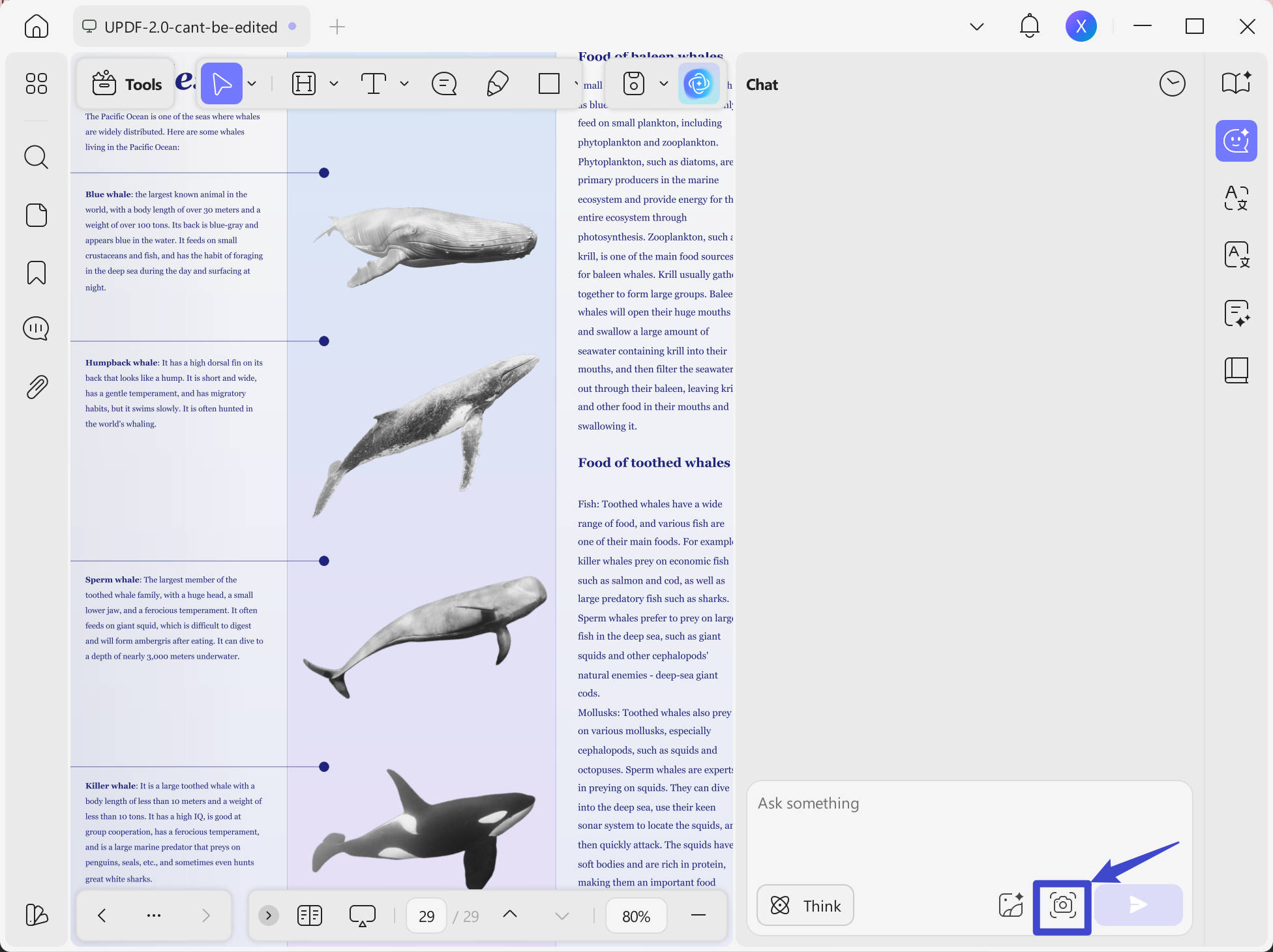 screenshot updf ai on windows