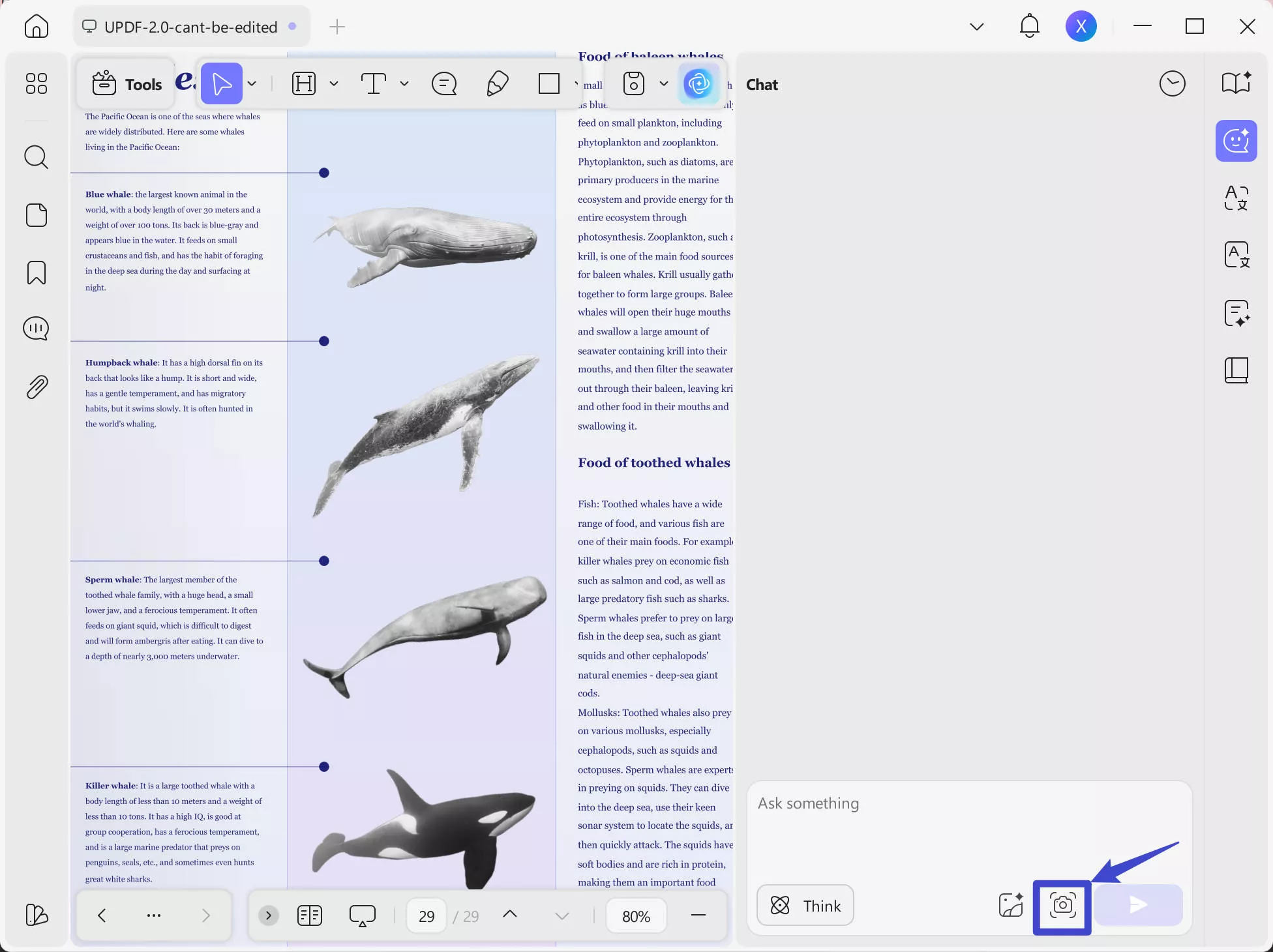 screenshot updf ai on windows