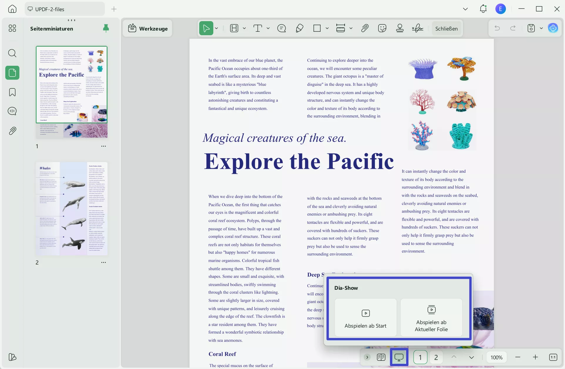 play pdf as a slideshow