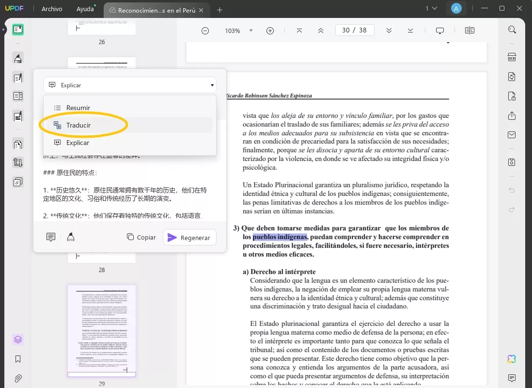 traducir explicar pdf