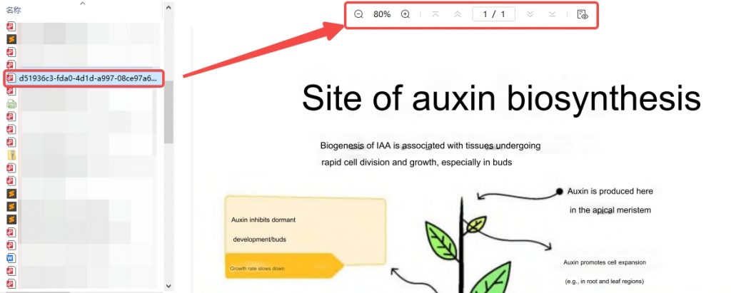 PDF をプレビュー