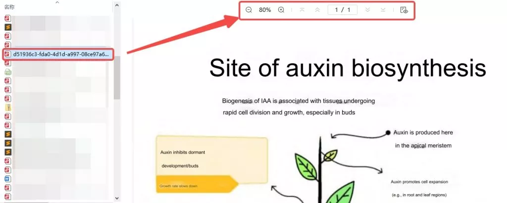 PDF をプレビュー